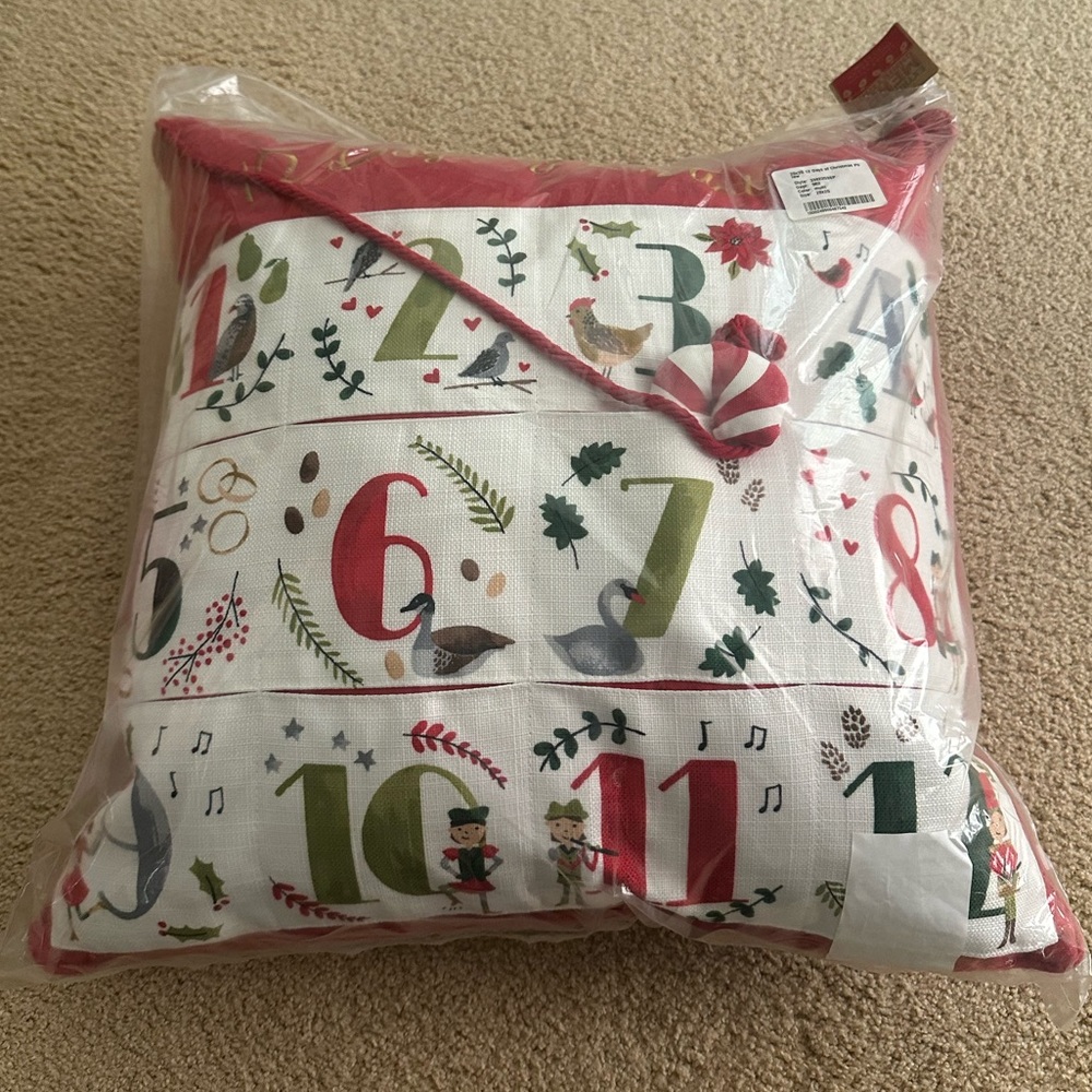 NEW 12 days of Christmas pillow 20 x 20
